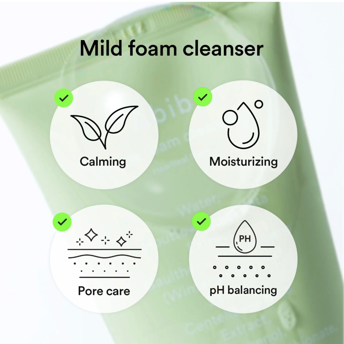 Abib Heartleaf Mild Foam Cleanser (5.07 oz)