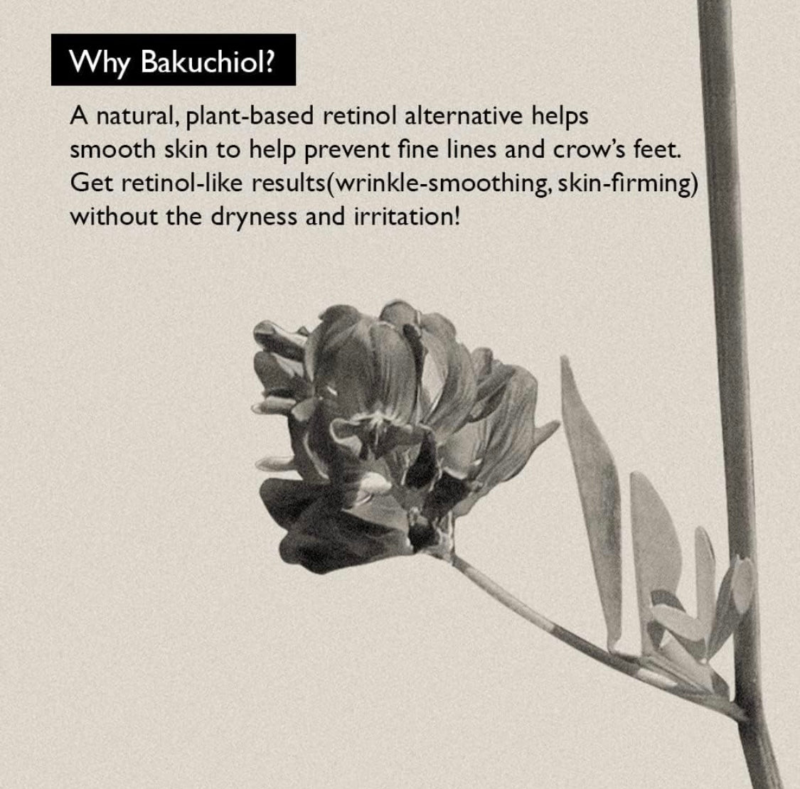 Haruharu Black Rice Bakuchiol Retinol Alternative Eye Cream (0.67 oz)